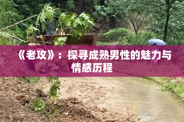 《老攻》：探寻成熟男性的魅力与情感历程