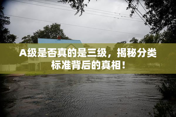 A级是否真的是三级，揭秘分类标准背后的真相！