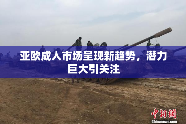 亚欧成人市场呈现新趋势，潜力巨大引关注