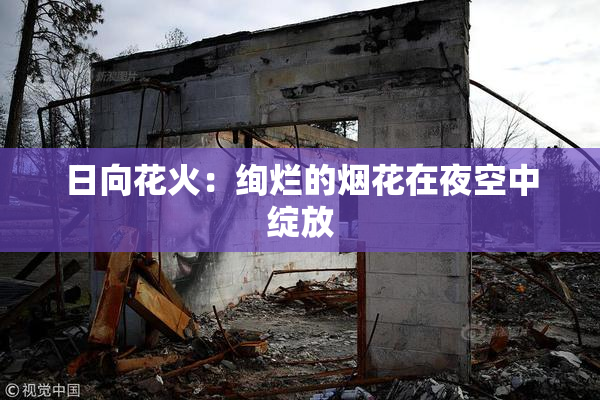 日向花火：绚烂的烟花在夜空中绽放