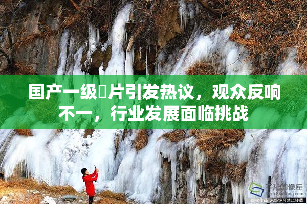 国产一级婬片引发热议，观众反响不一，行业发展面临挑战