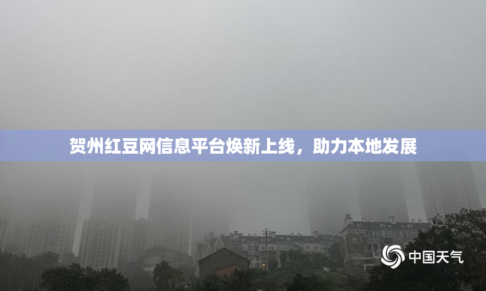 贺州红豆网信息平台焕新上线，助力本地发展