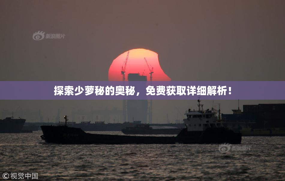 探索少萝秘的奥秘，免费获取详细解析！