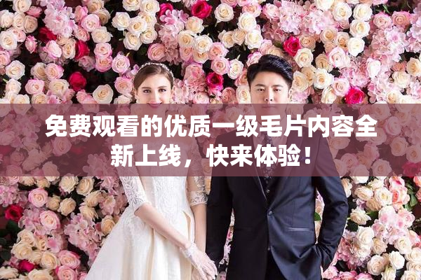 免费观看的优质一级毛片内容全新上线，快来体验！