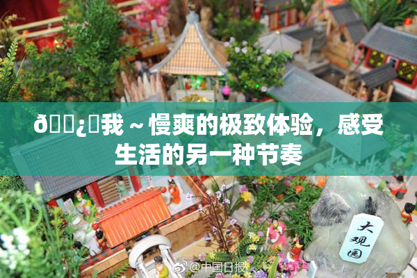 🌿‌我～慢爽的极致体验，感受生活的另一种节奏