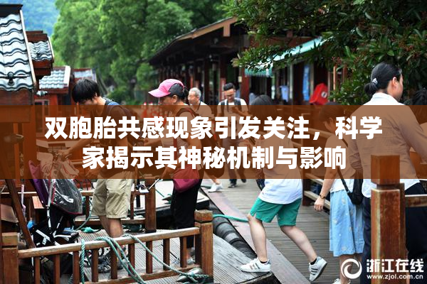 双胞胎共感现象引发关注，科学家揭示其神秘机制与影响