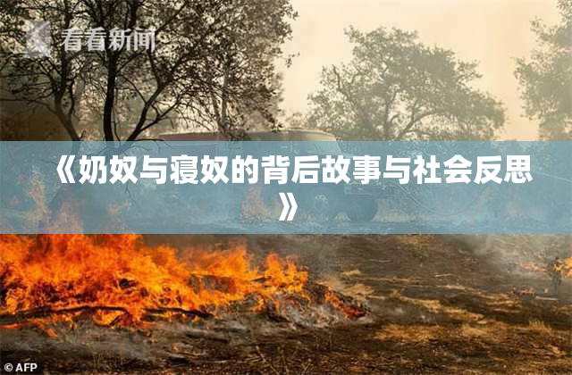 《奶奴与寝奴的背后故事与社会反思》