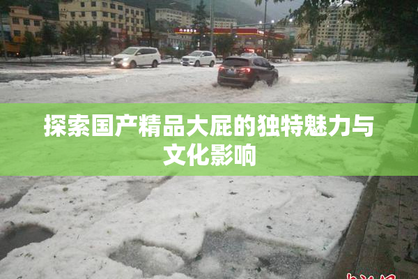 探索国产精品大屁的独特魅力与文化影响