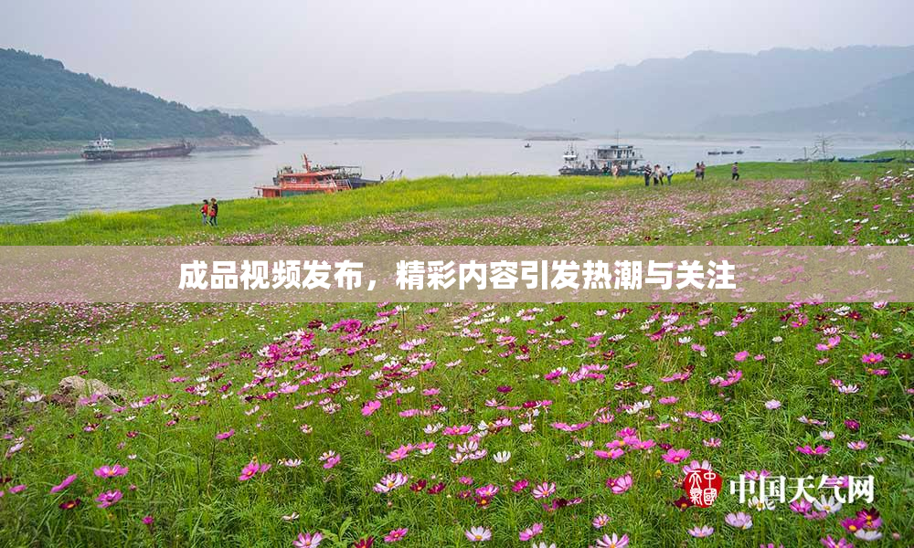 成品视频发布，精彩内容引发热潮与关注
