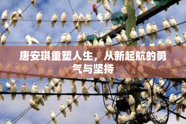 唐安琪重塑人生，从新起航的勇气与坚持