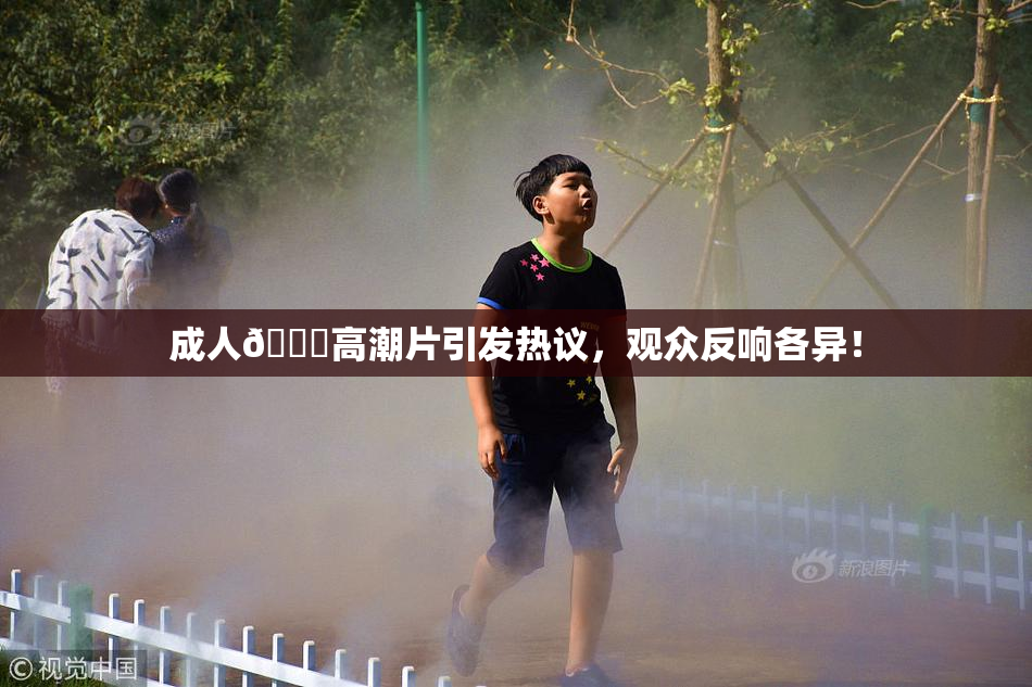成人🔞高潮片引发热议，观众反响各异！