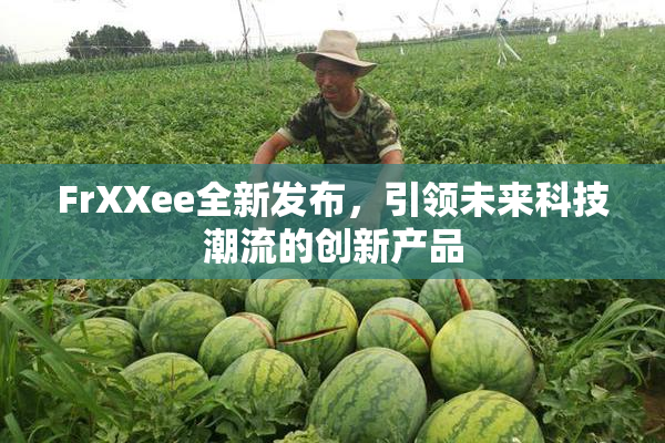 FrXXee全新发布，引领未来科技潮流的创新产品