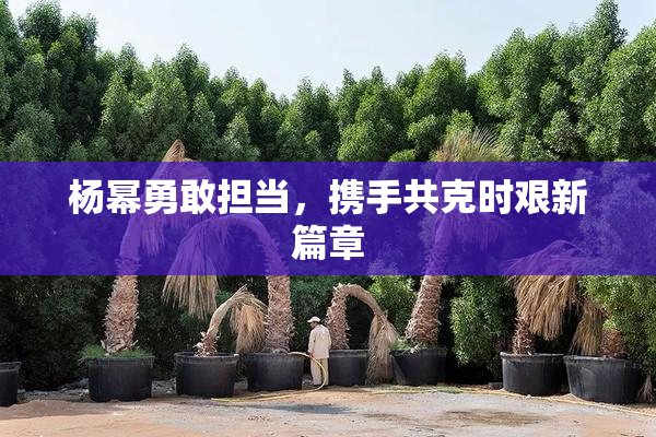 杨幂勇敢担当，携手共克时艰新篇章