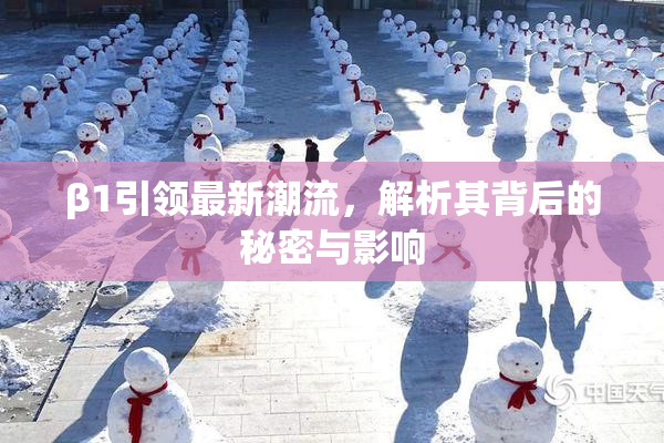 β1引领最新潮流，解析其背后的秘密与影响