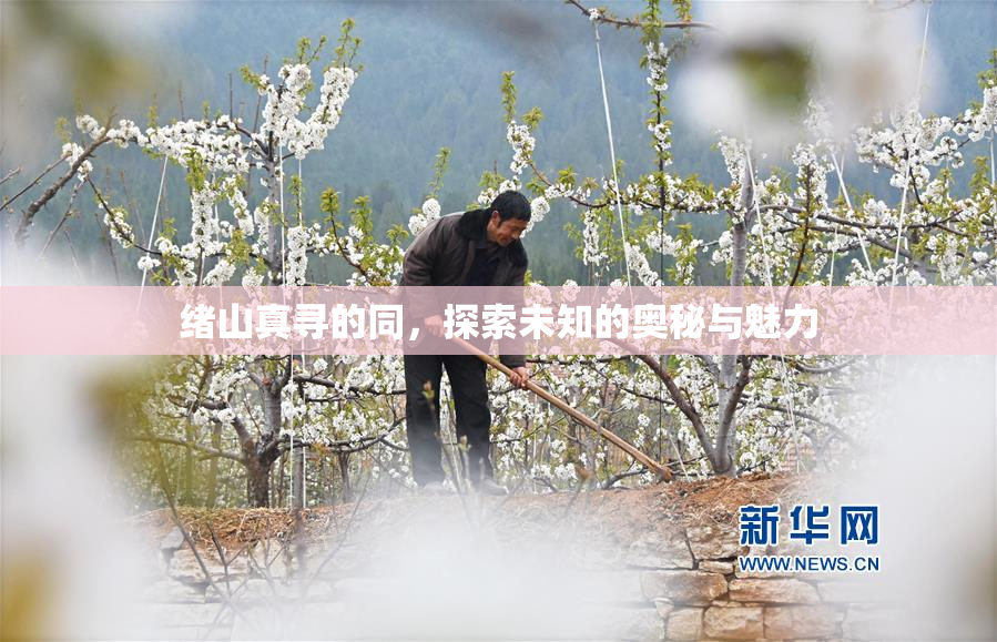 绪山真寻的同，探索未知的奥秘与魅力
