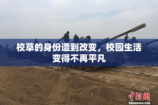 校草的身份遭到改变，校园生活变得不再平凡