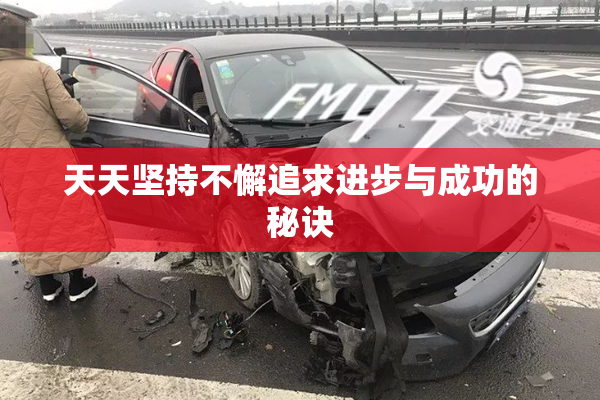 天天坚持不懈追求进步与成功的秘诀