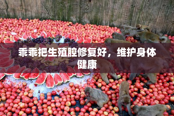 乖乖把生殖腔修复好，维护身体健康