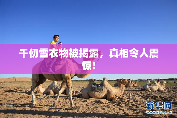 千仞雪衣物被揭露，真相令人震惊！