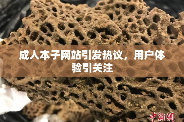 成人本子网站引发热议，用户体验引关注