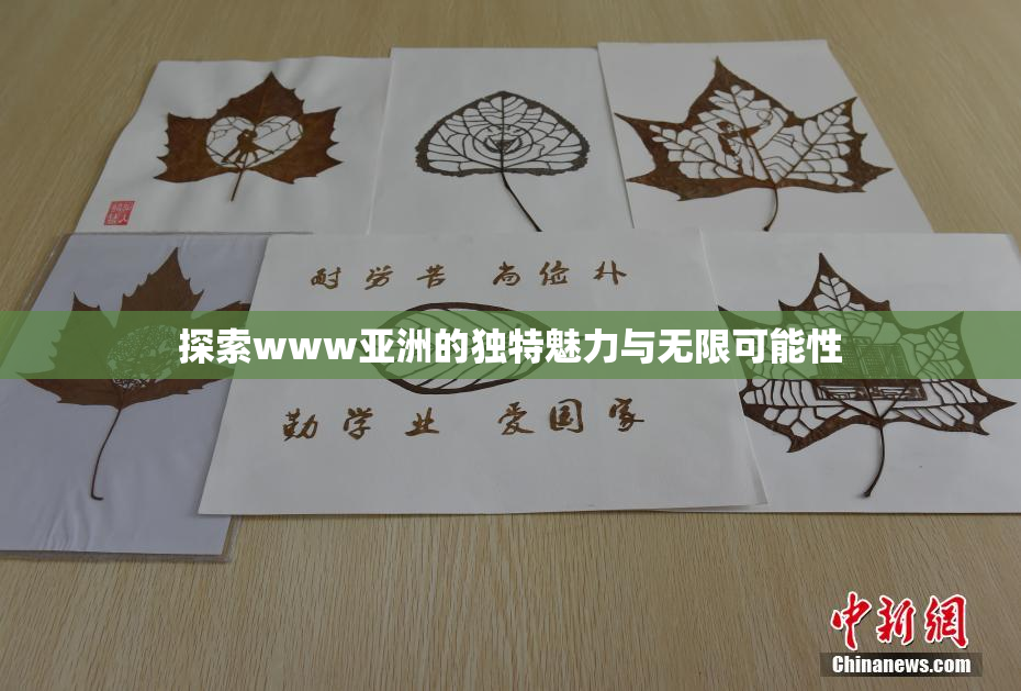 探索www亚洲的独特魅力与无限可能性