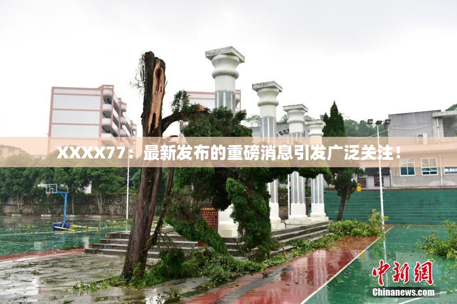 XXXX77：最新发布的重磅消息引发广泛关注！