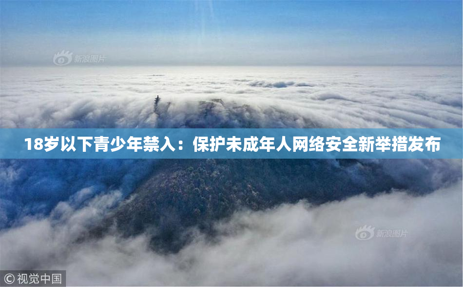 18岁以下青少年禁入：保护未成年人网络安全新举措发布