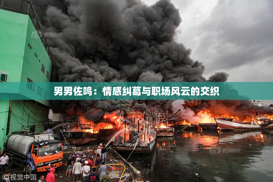 男男佐鸣：情感纠葛与职场风云的交织