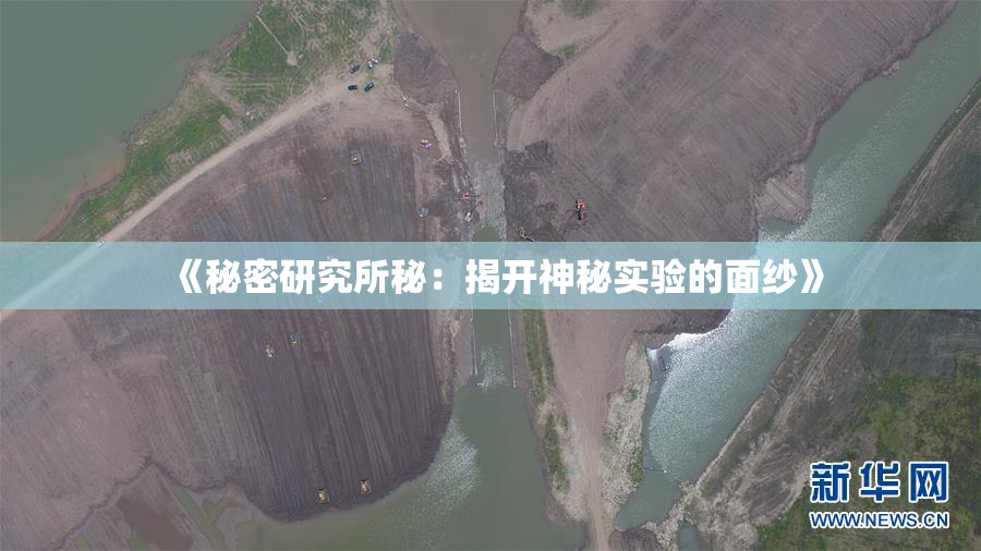 《秘密研究所秘：揭开神秘实验的面纱》
