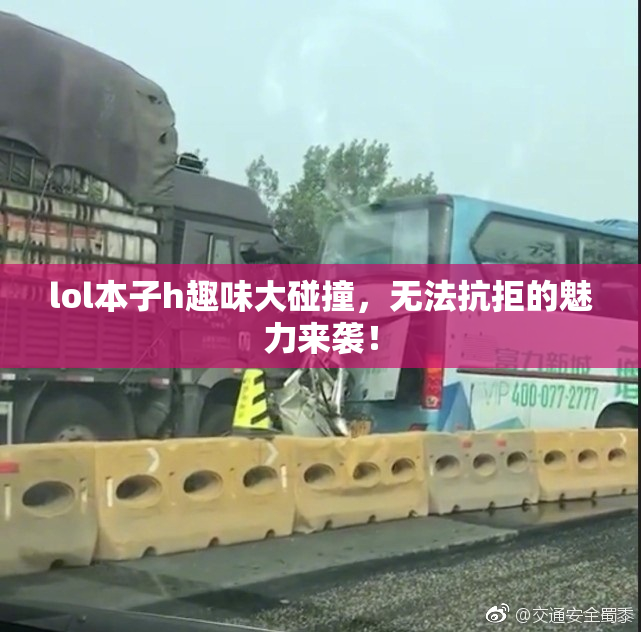 lol本子h趣味大碰撞，无法抗拒的魅力来袭！