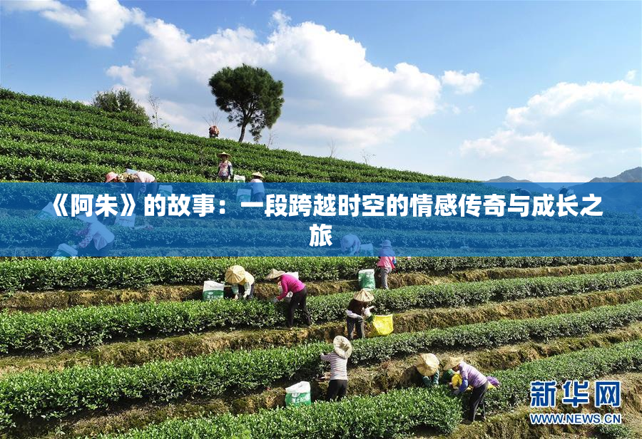 《阿朱》的故事：一段跨越时空的情感传奇与成长之旅