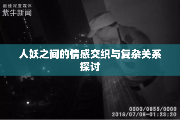 人妖之间的情感交织与复杂关系探讨