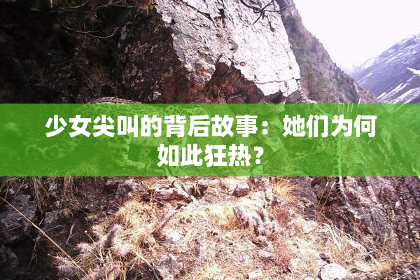 少女尖叫的背后故事：她们为何如此狂热？