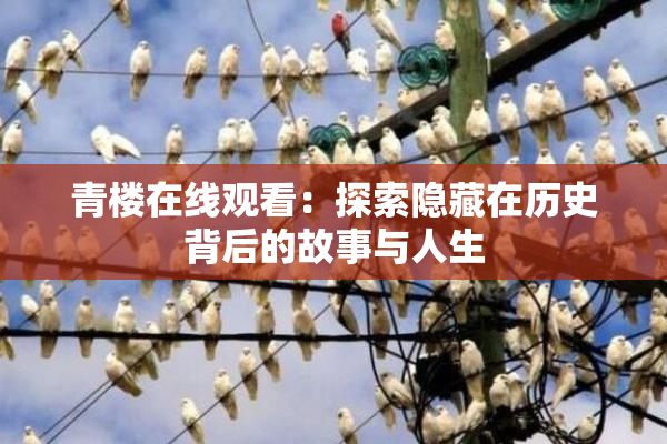 青楼在线观看：探索隐藏在历史背后的故事与人生
