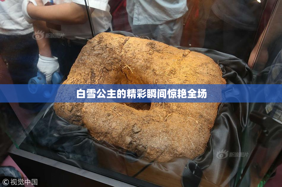 白雪公主的精彩瞬间惊艳全场