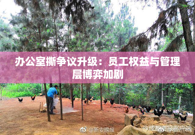 办公室撕争议升级：员工权益与管理层博弈加剧