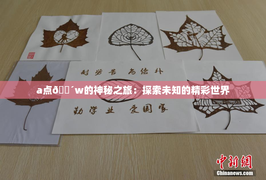 a点🔴w的神秘之旅：探索未知的精彩世界