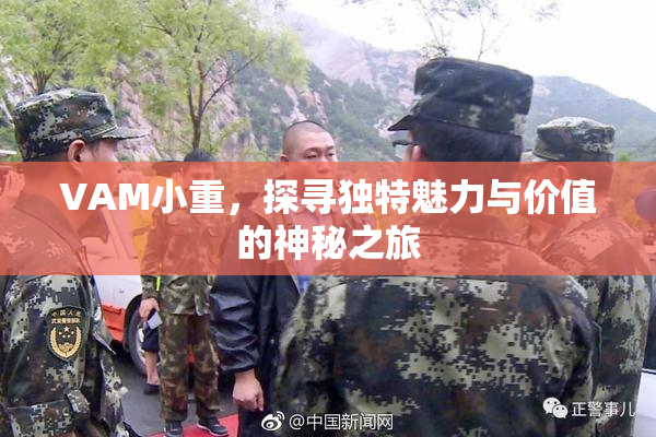 VAM小重，探寻独特魅力与价值的神秘之旅