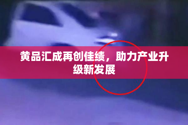 黄品汇成再创佳绩，助力产业升级新发展