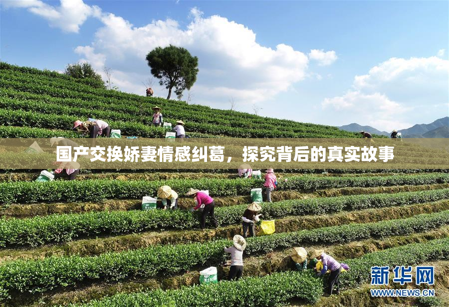 国产交换娇妻情感纠葛，探究背后的真实故事