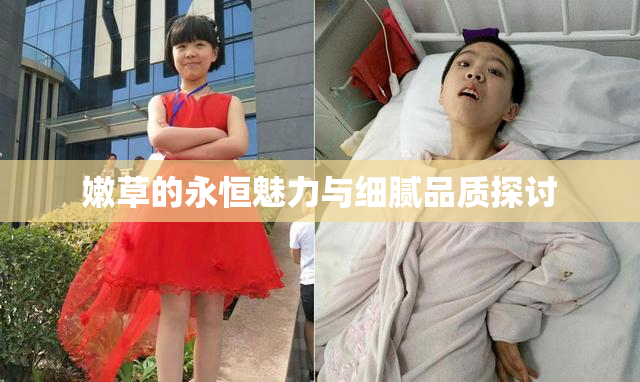 嫩草的永恒魅力与细腻品质探讨