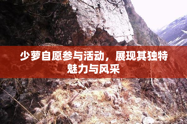 少萝自愿参与活动，展现其独特魅力与风采