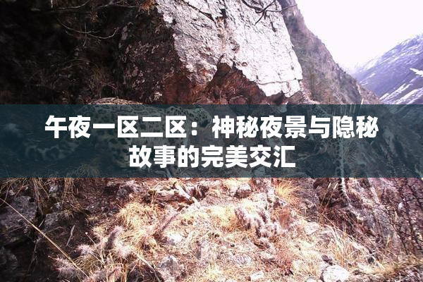 午夜一区二区：神秘夜景与隐秘故事的完美交汇