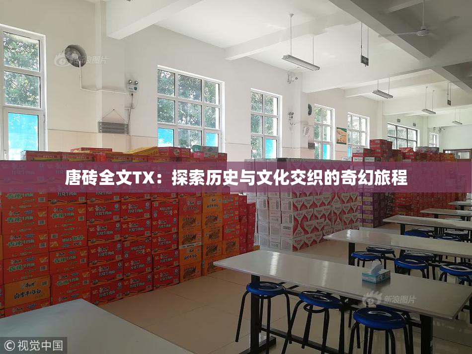 唐砖全文TX：探索历史与文化交织的奇幻旅程