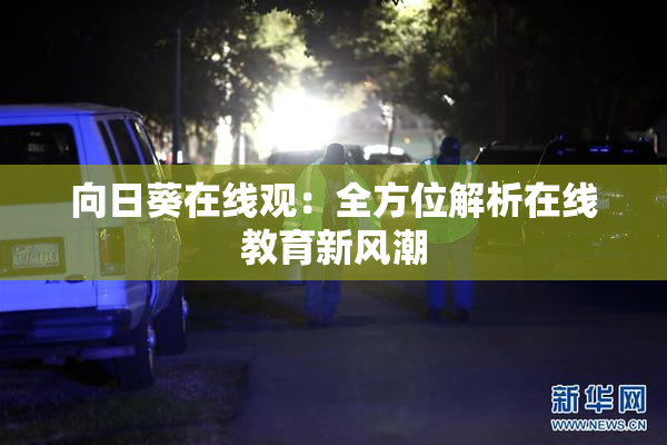 向日葵在线观：全方位解析在线教育新风潮