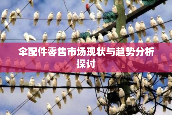 伞配件零售市场现状与趋势分析探讨