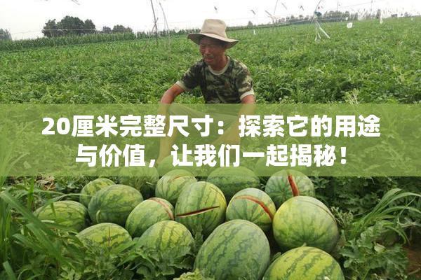 20厘米完整尺寸：探索它的用途与价值，让我们一起揭秘！