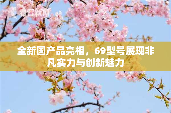 全新国产品亮相，69型号展现非凡实力与创新魅力