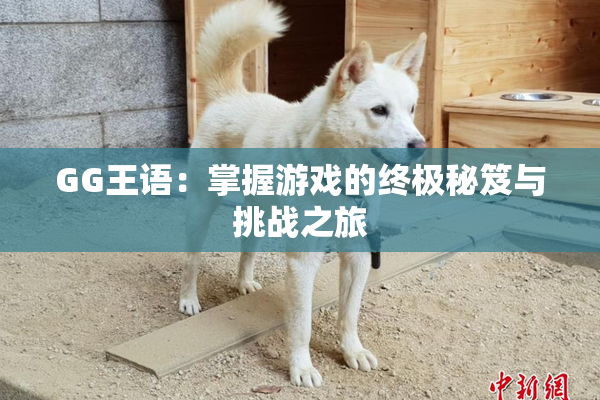 GG王语：掌握游戏的终极秘笈与挑战之旅