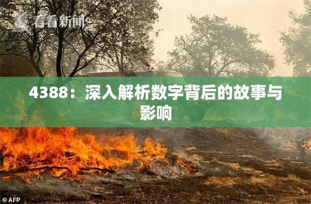 4388：深入解析数字背后的故事与影响